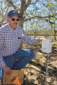 When to Begin the First Irrigation