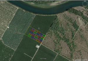 Walnuts: When to Begin the Irrigation Season by multiple writers