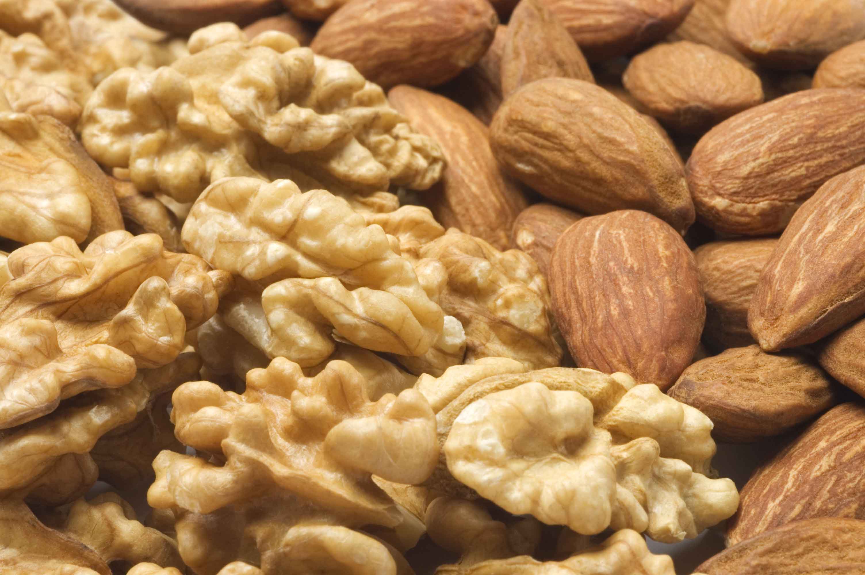 fsma preventative control for the nut industry