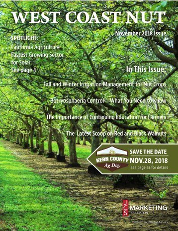November 2018