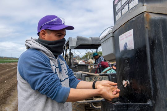Farm Worker with Mask