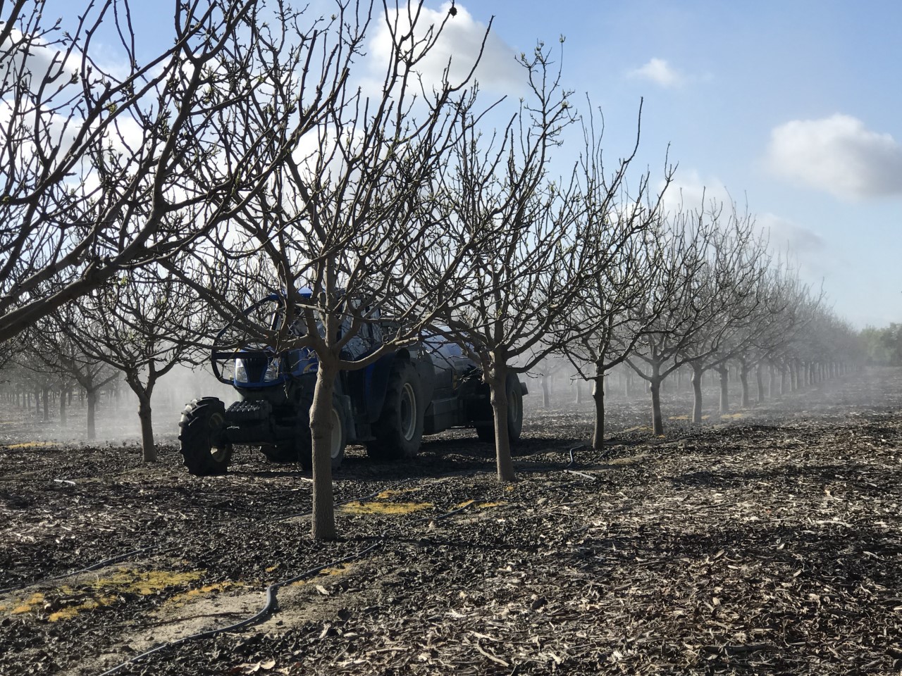 2-2-2 woodchip mulch in pistachio orchard by Jeb Headrick