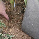 1-1-1-IMG_3175-(2)-S