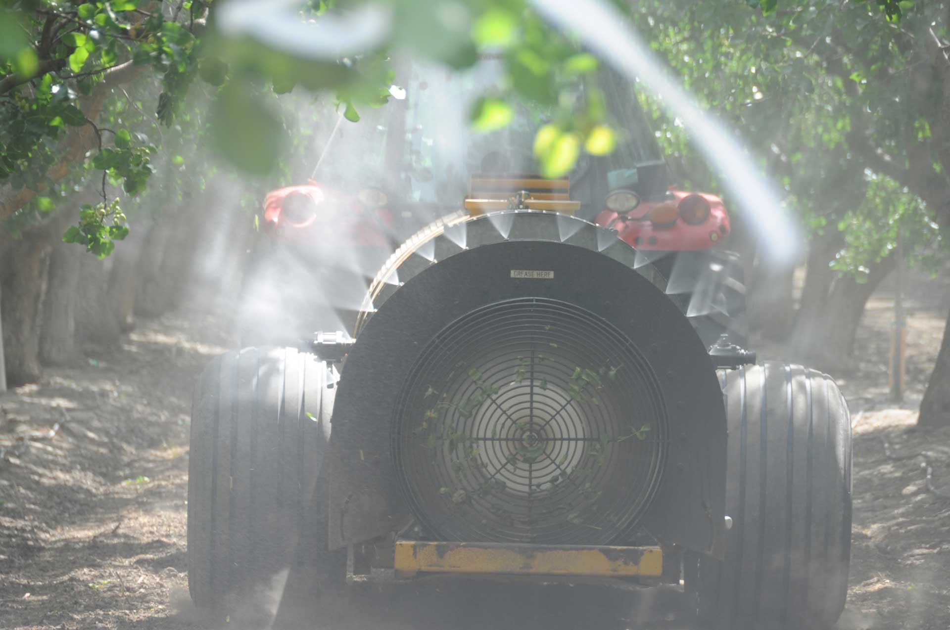4-4-4-courtesy-Joel-Siegel,-USDA-ARS