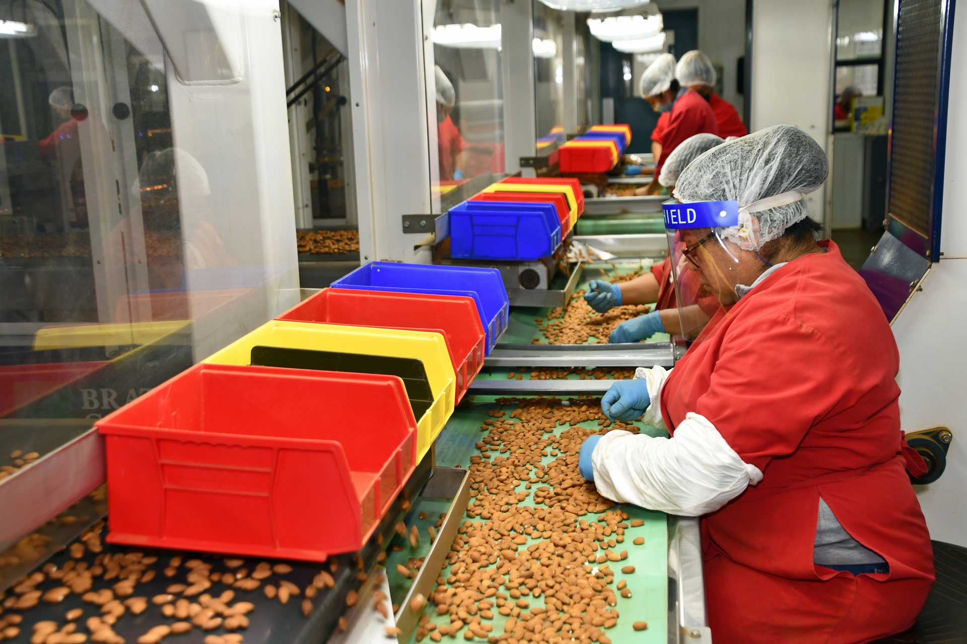 2-2-2-final-hand-sorting-S