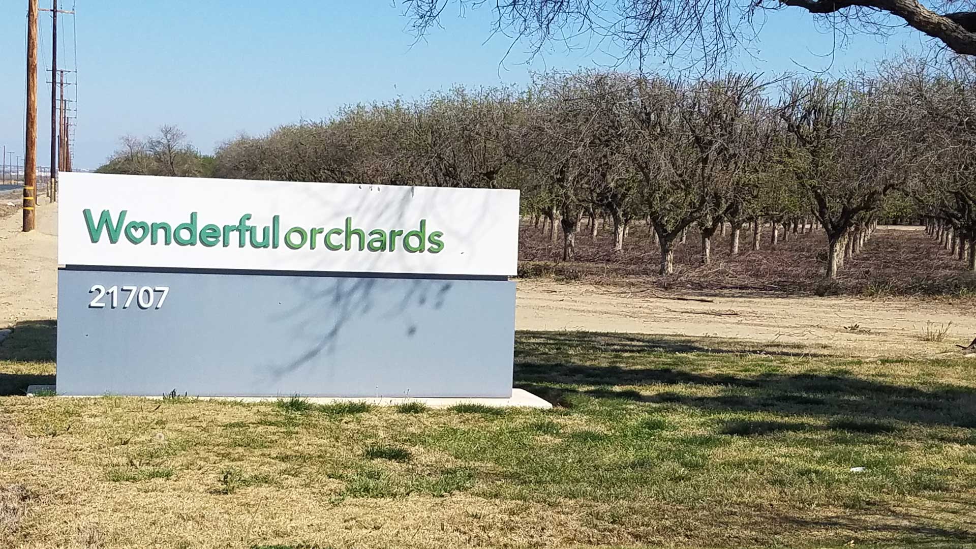 3-3-3-Wonderful-Orchards-by-Catherine-Merlo-S