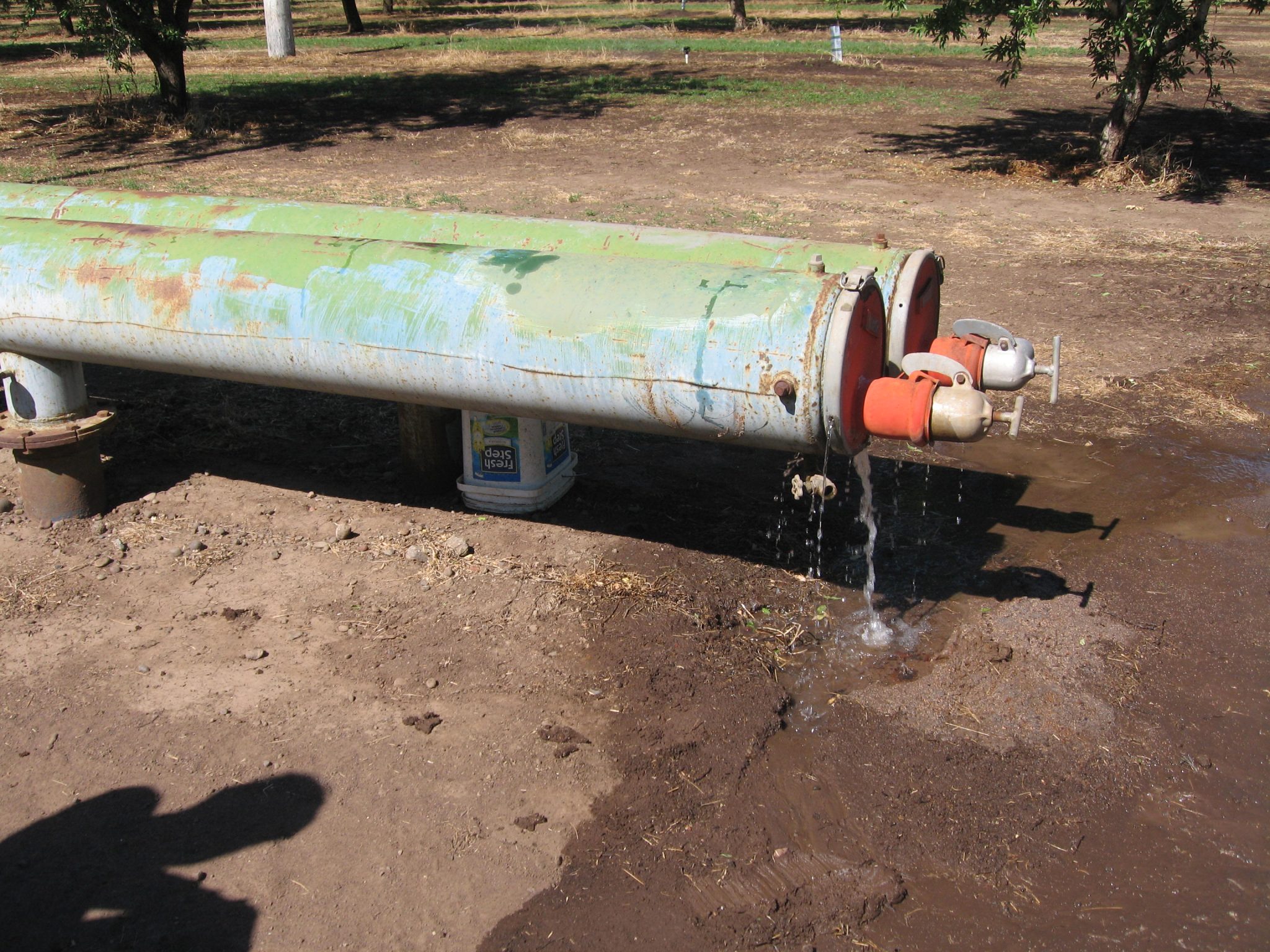 Leaking filter at the pump station. Gains in irrigation efficiency are offset when leaks in the system are not addressed (all photos by K. Greer.)