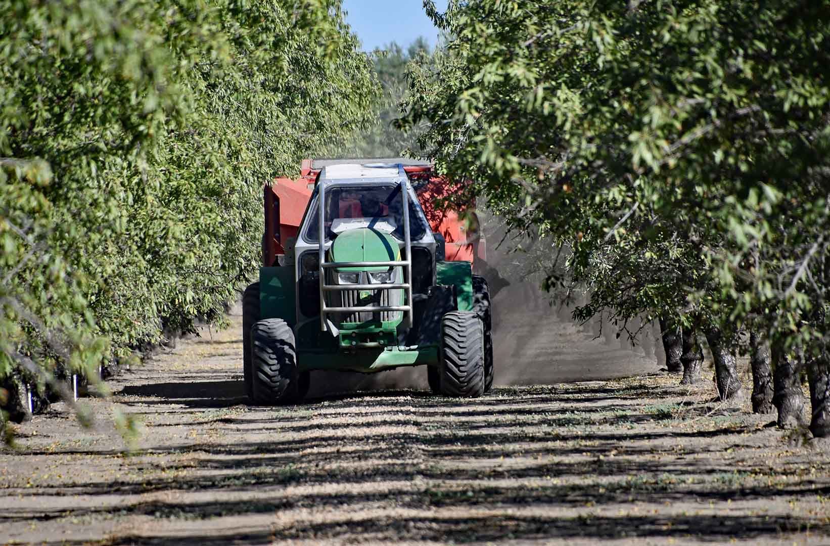 Tractor in orchard